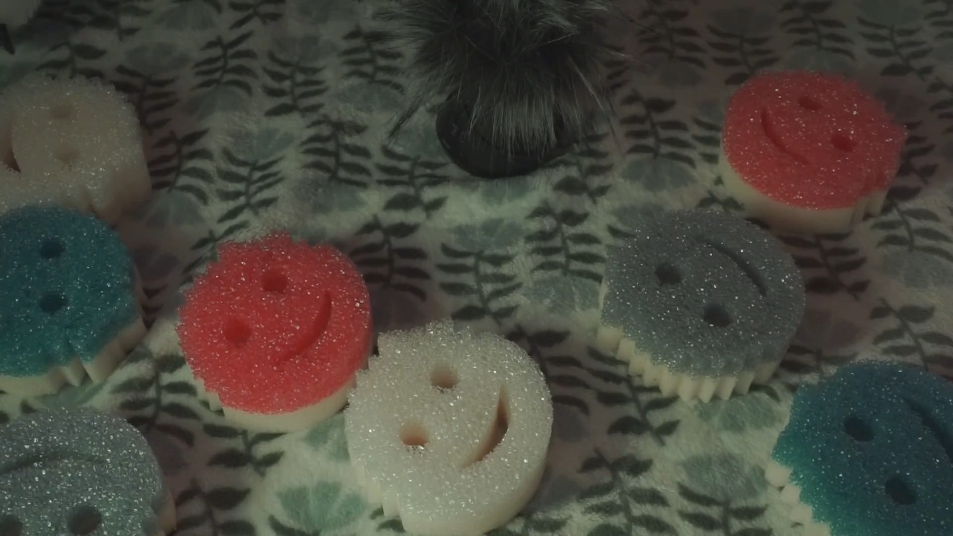 More Water Sounds! Scrub Daddy Sponges