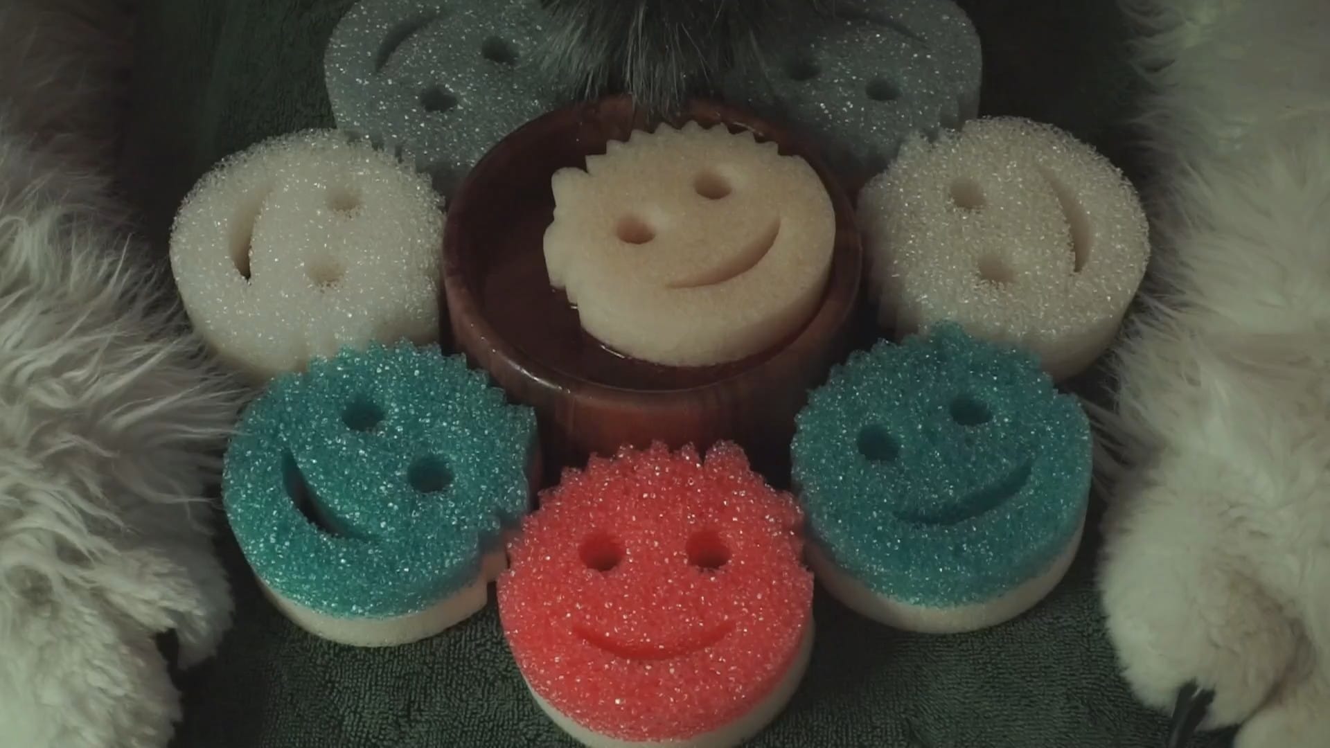 Soapy Spongy Bside Audio