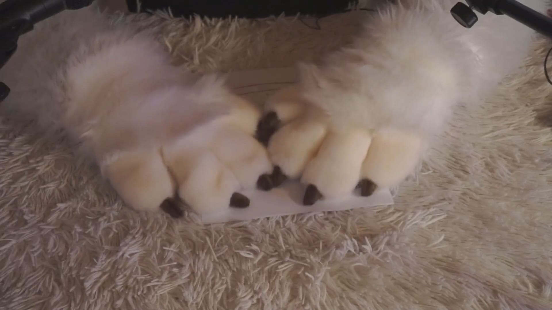 Egee's Big 5K Q&A 🎉