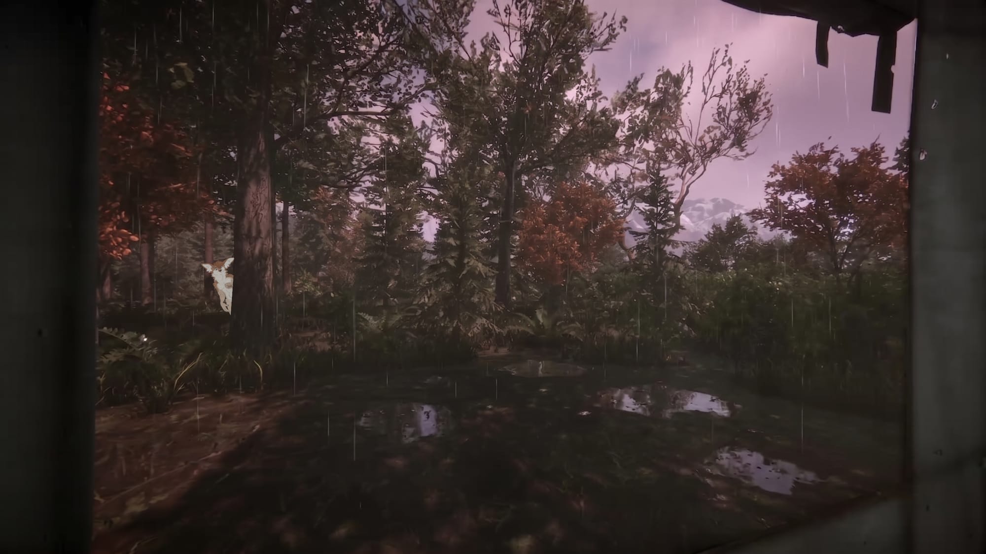 Solitude in the Weald | Guided ASMR Roleplay
