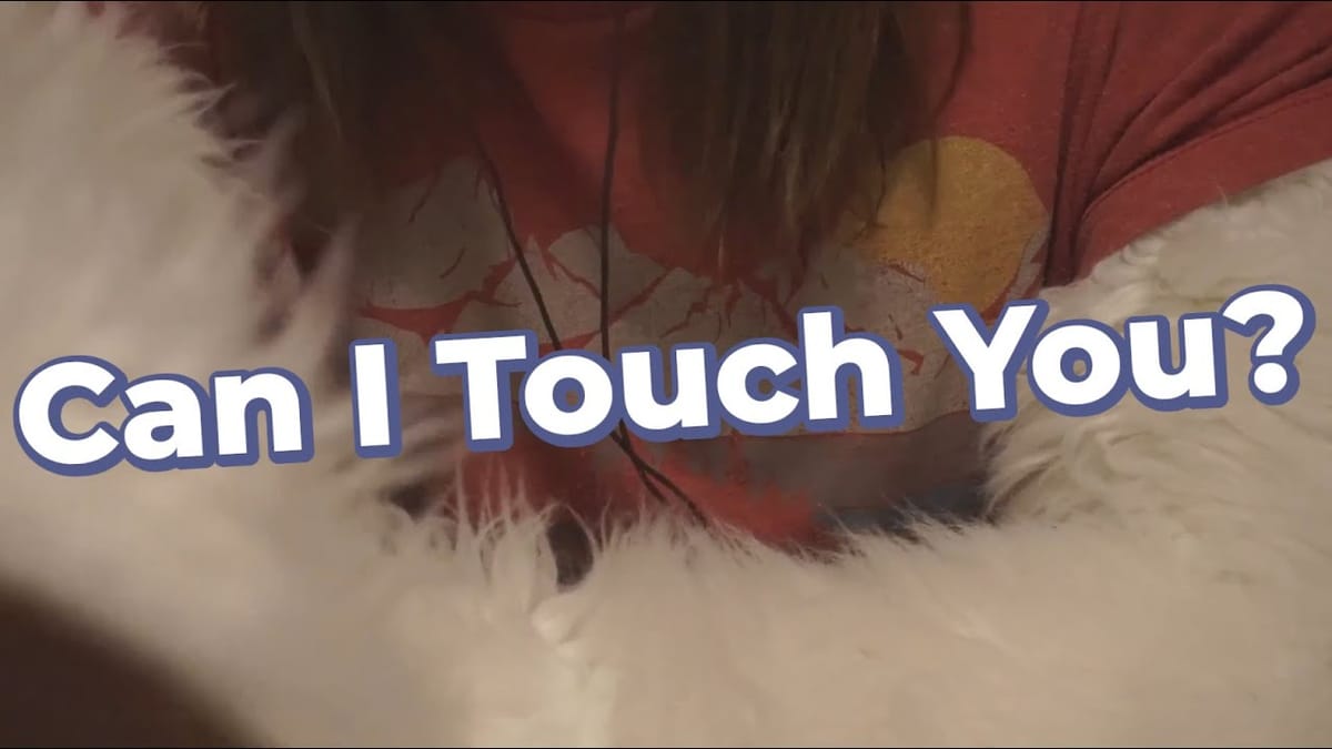 Can I Touch You Again? Remastered Video!