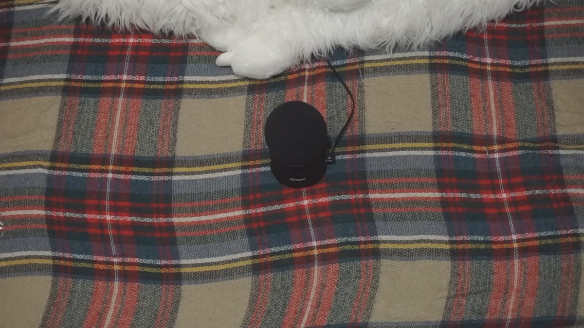 An Old Fashioned Egee Ramble