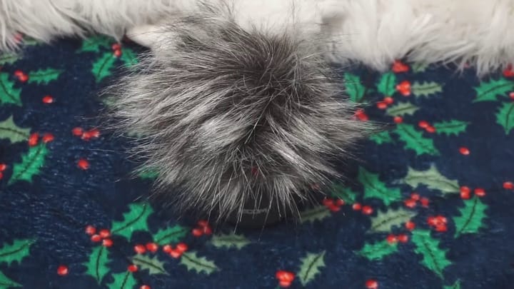 Egee's December ASMR Ramble